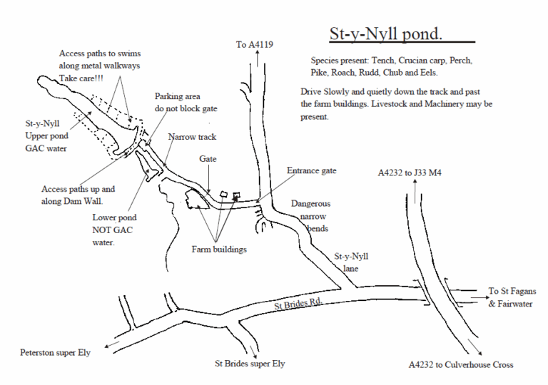 St Y Nyll Top Pond - glamorgananglersclub.co.uk